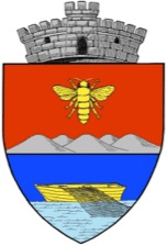 Stema Comunei Luncavita